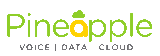 pineapple-logo-trans